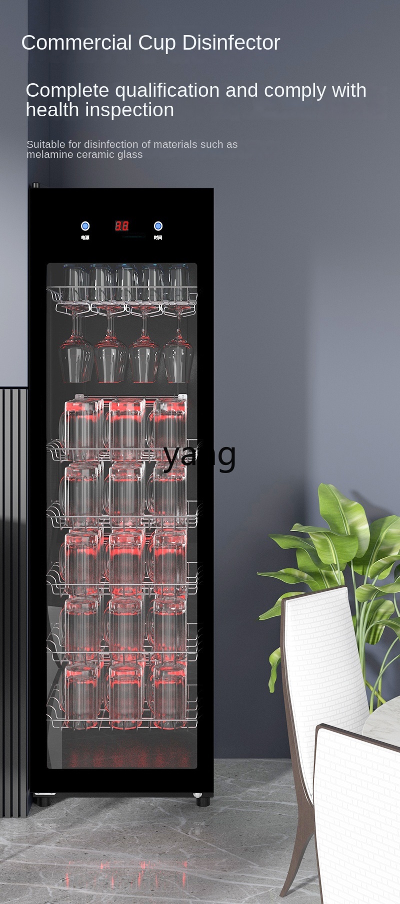 CX Large Capacity Hotel Tea Ho - Beer & Wine Jockey Plaza Shopping 리뷰 및 가격