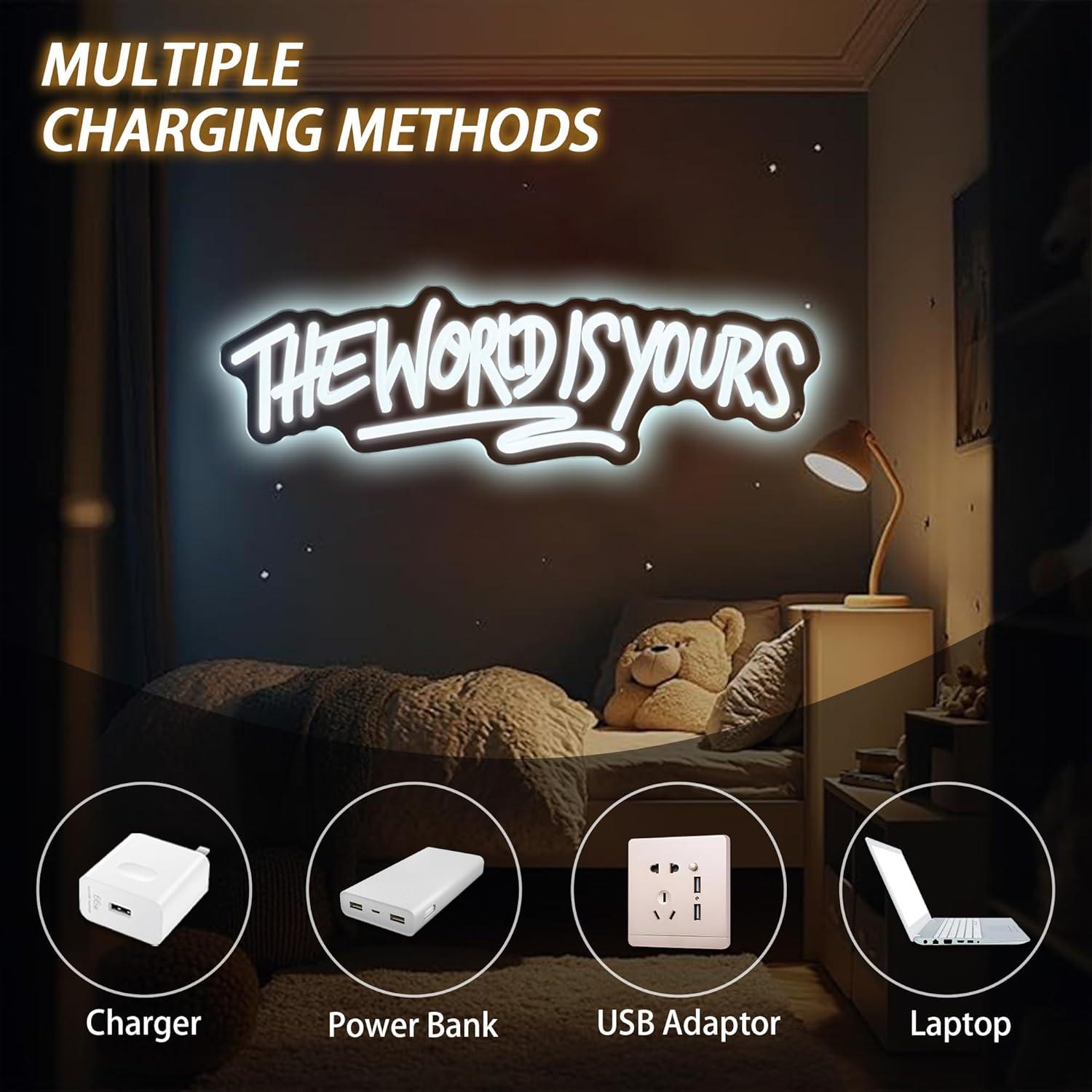 The World is Yours Neon Sign U - Beer & Wine Jockey Plaza Shopping 리뷰 및 가격